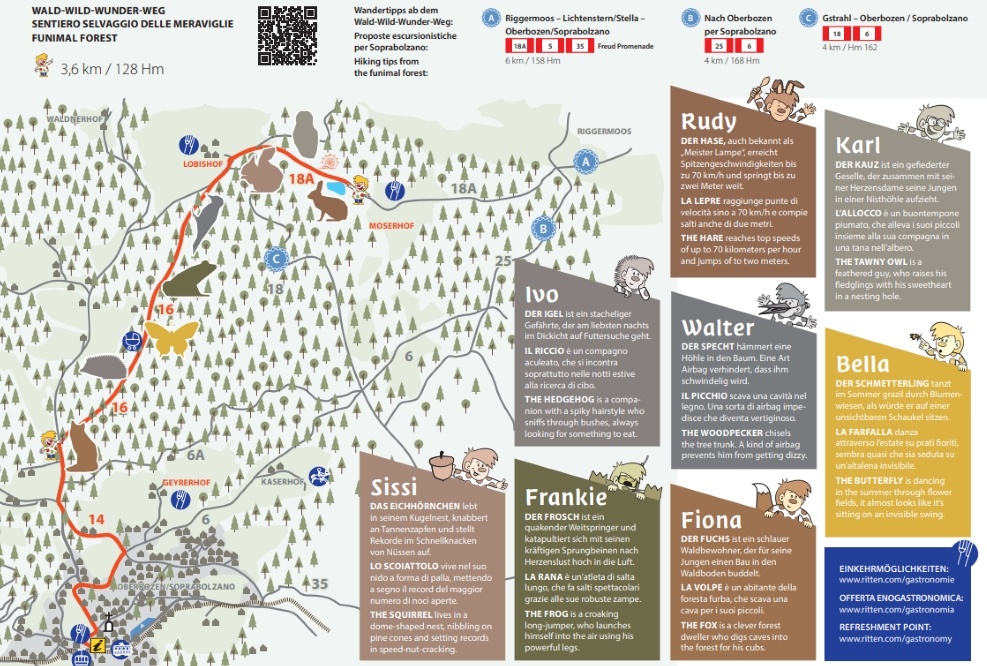 Sentiero selvaggio delle meraviglie