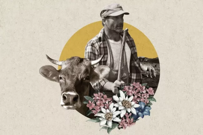 Barthlmastag & Almfest am Rittner Horn