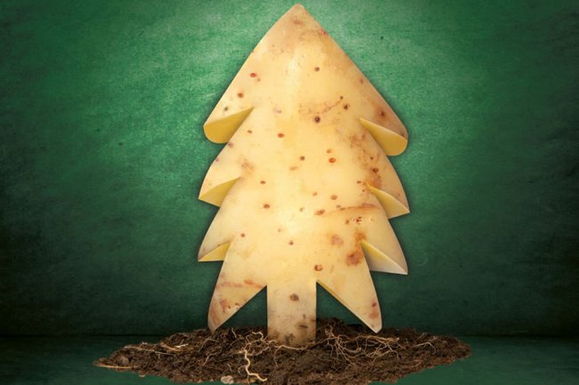 Rittner Bauernadvent