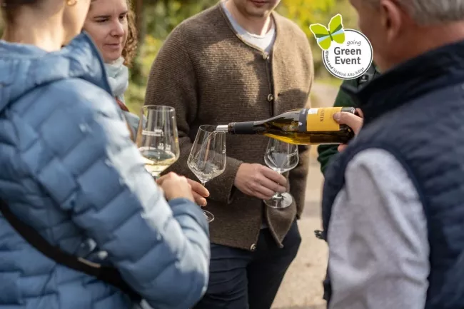 Rebe, Weinwandern und verkosten